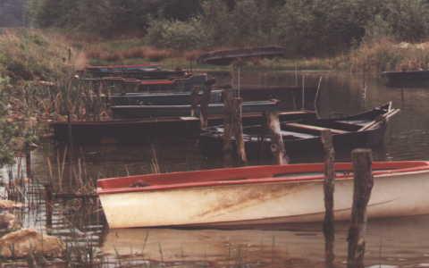 Lac de Madine