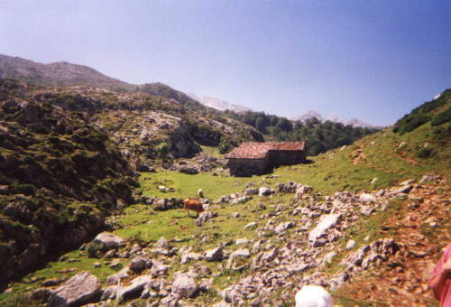 Covadonga Nationalpark, Asturien